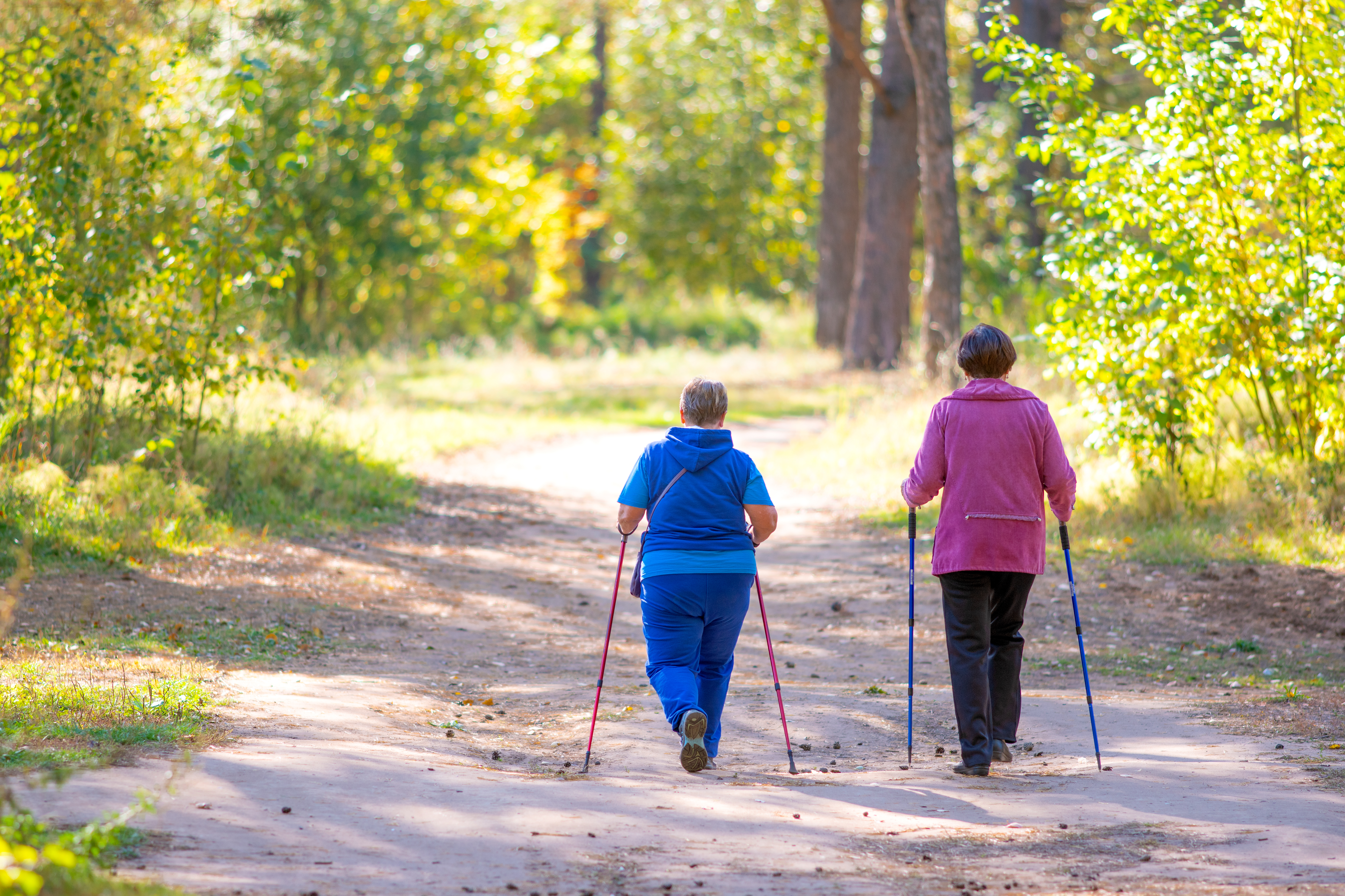 Two older women are walking on a dirt path in the woods with walking sticks on a hike.