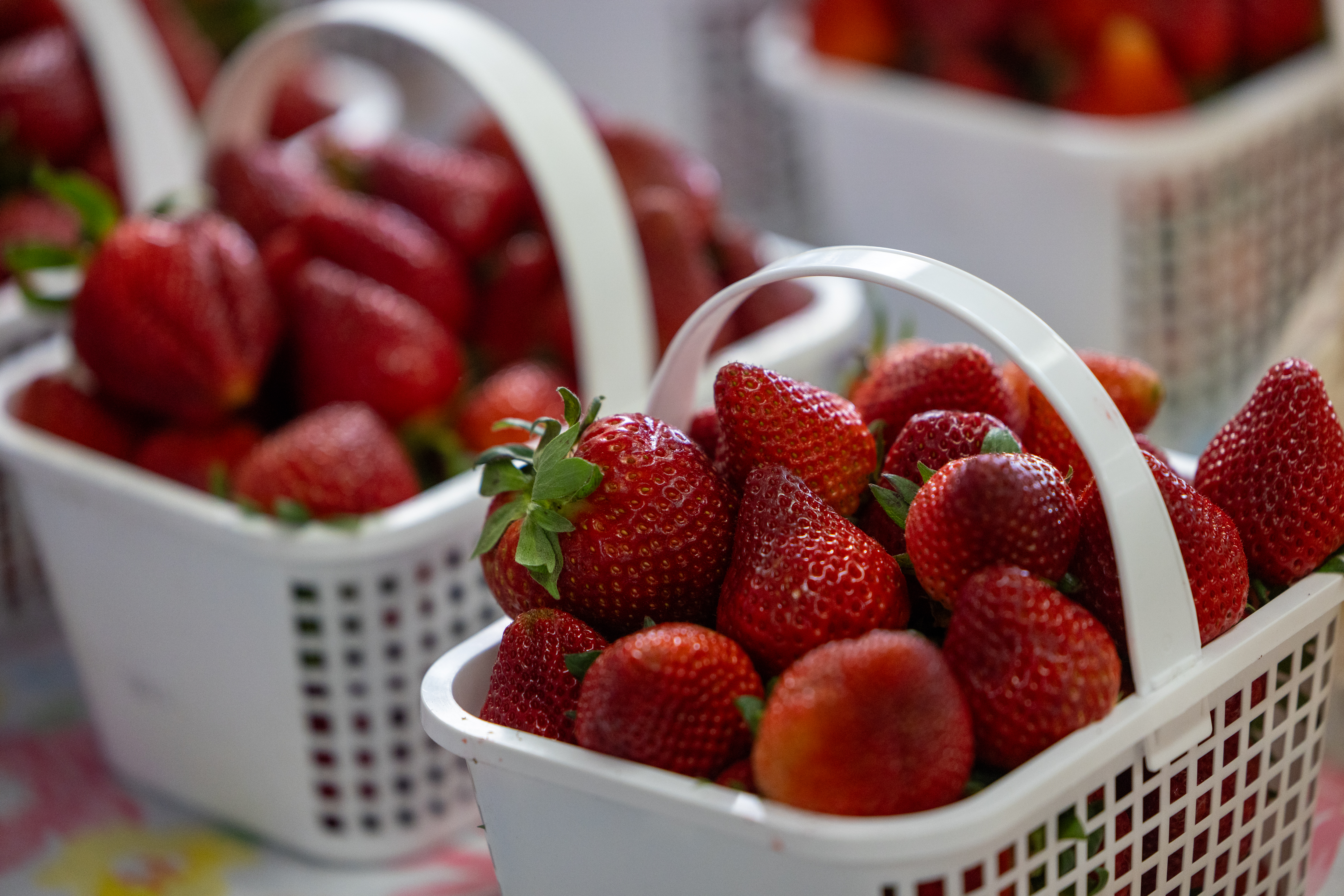 Fresh Fruit in Season: A Simple Way to Boost Health & Flavor