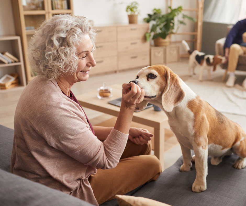 For the Love of Pets and Seniors