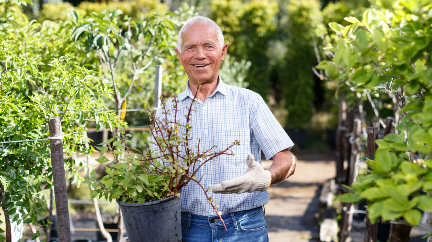 Hobbies at Any Age: Embracing an Active Aging Lifestyle