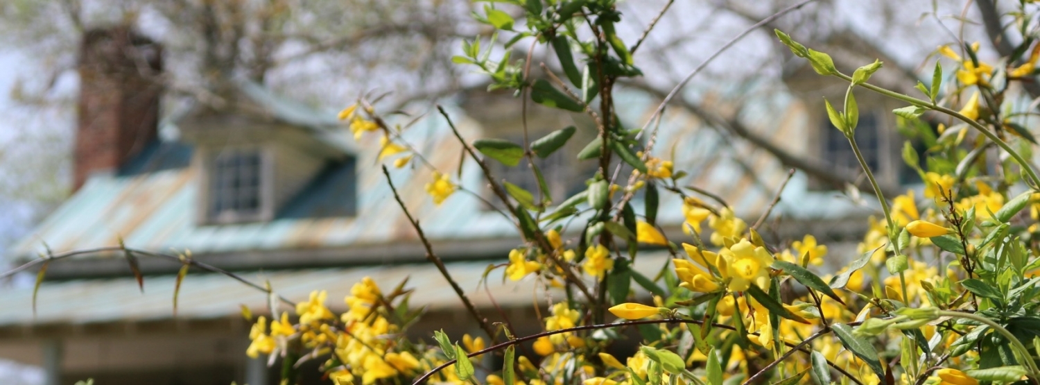 "You're A Little Closer To Heaven In A Cabin In The Woods"